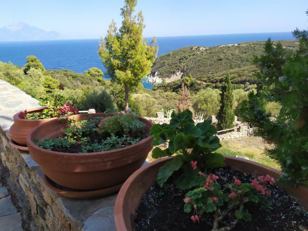 Villa Athos Sarti Exterior photo